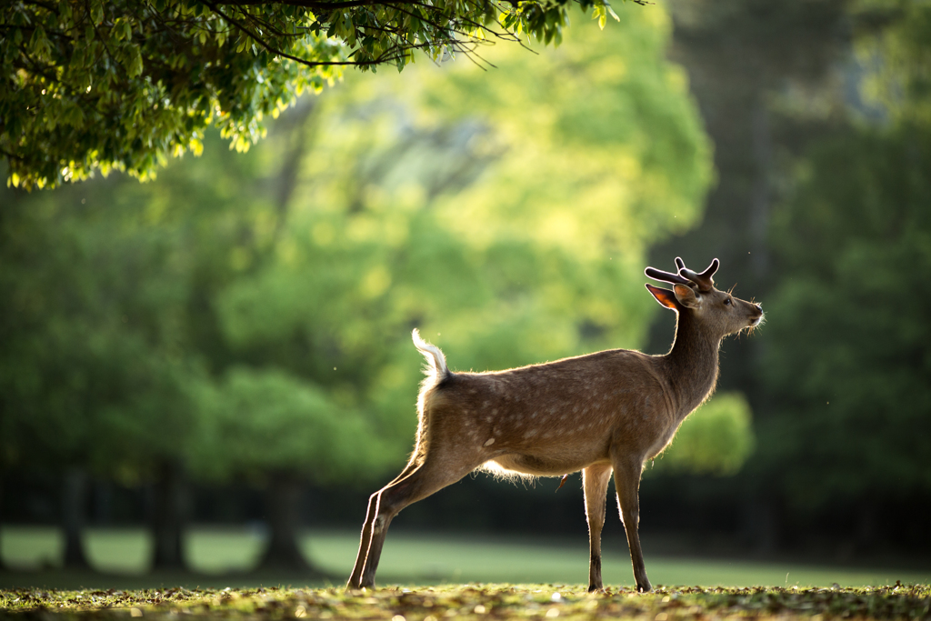 「う～んっ、いい朝っ」