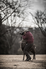 飛火野photographer 