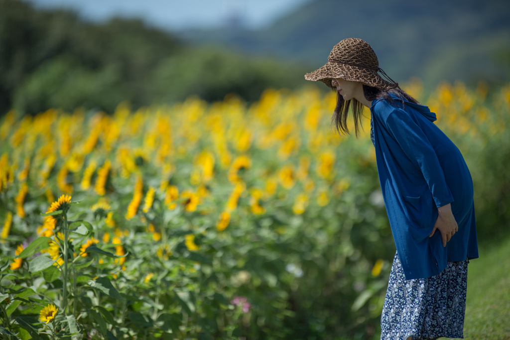 「こんにちは、ひまわりさん」