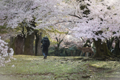 「よぉ」、「やぁ」