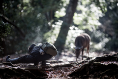 奥飛火野のphotographer