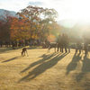 今朝の飛火野