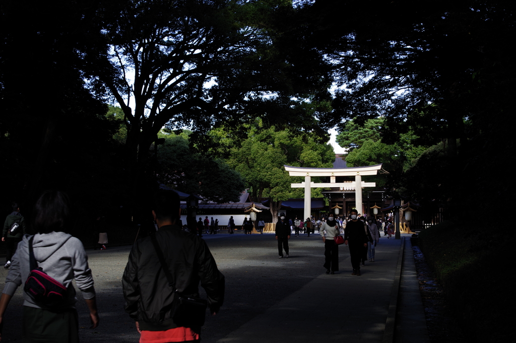 鳥居_明治神宮