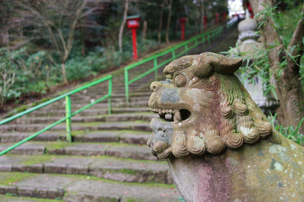 狛犬_新田神社