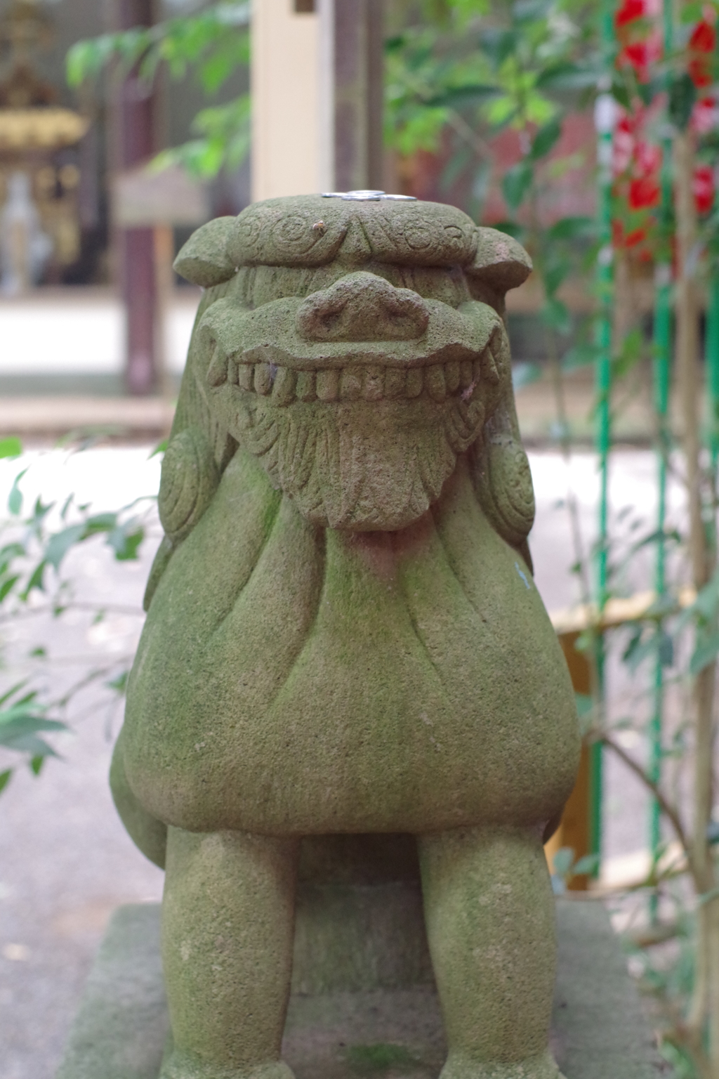 狛犬_大宮八幡宮(杉並)