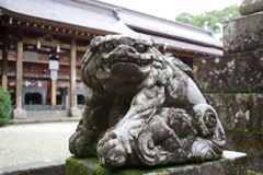 子抱き狛犬_新田神社