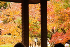 紅葉_大田黒公園