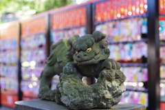 狛犬_田無神社