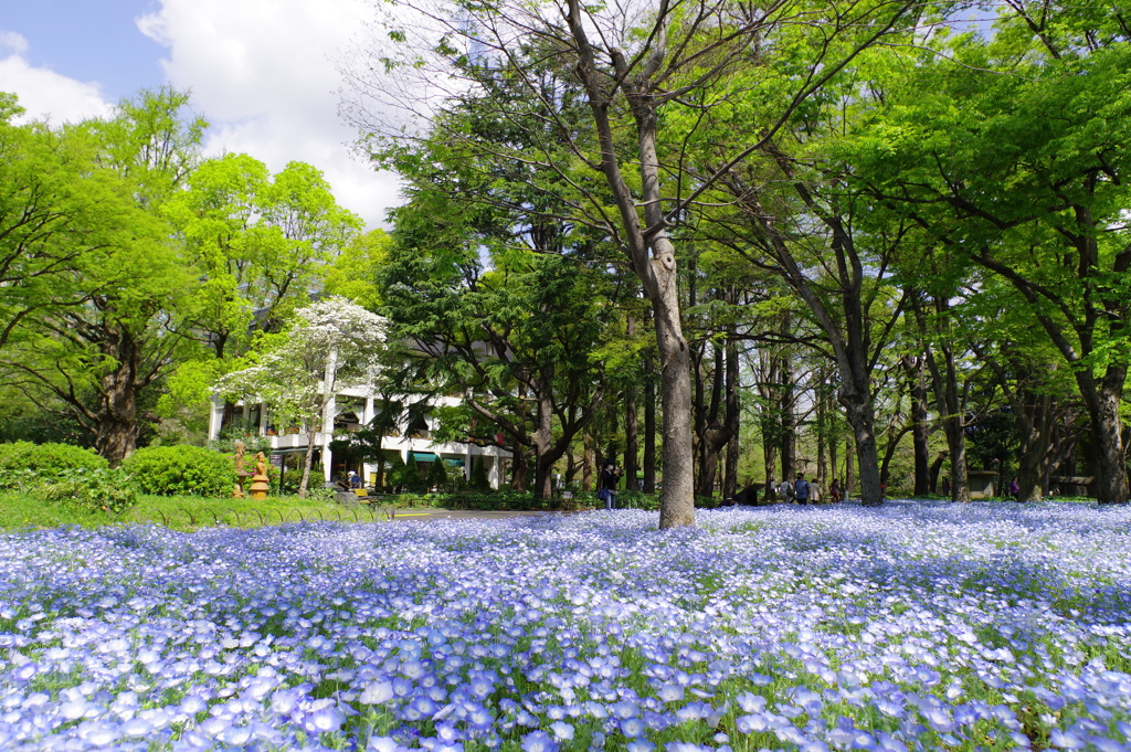 日比谷公園