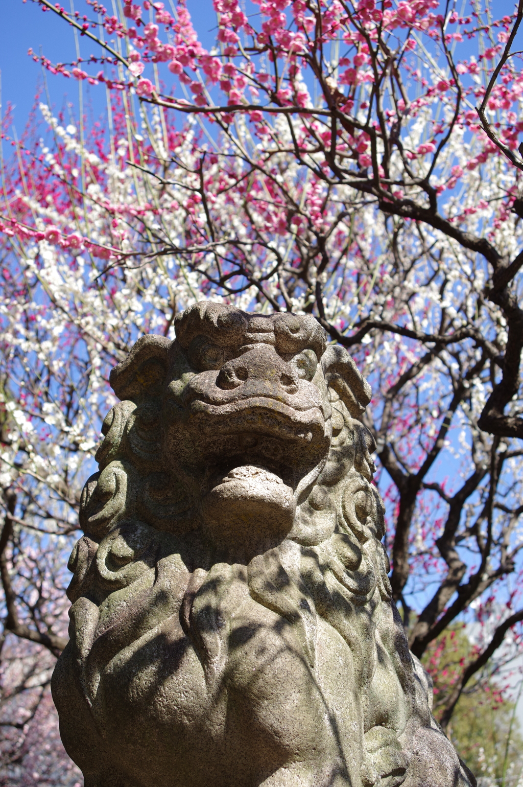 狛犬_新井天神北野神社