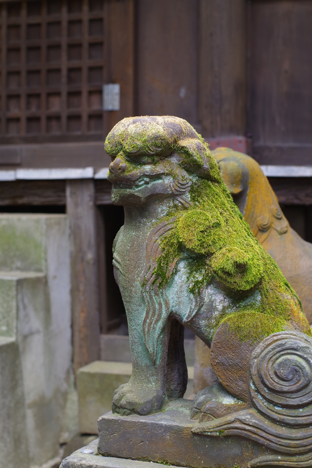 狛犬_渋谷氷川神社