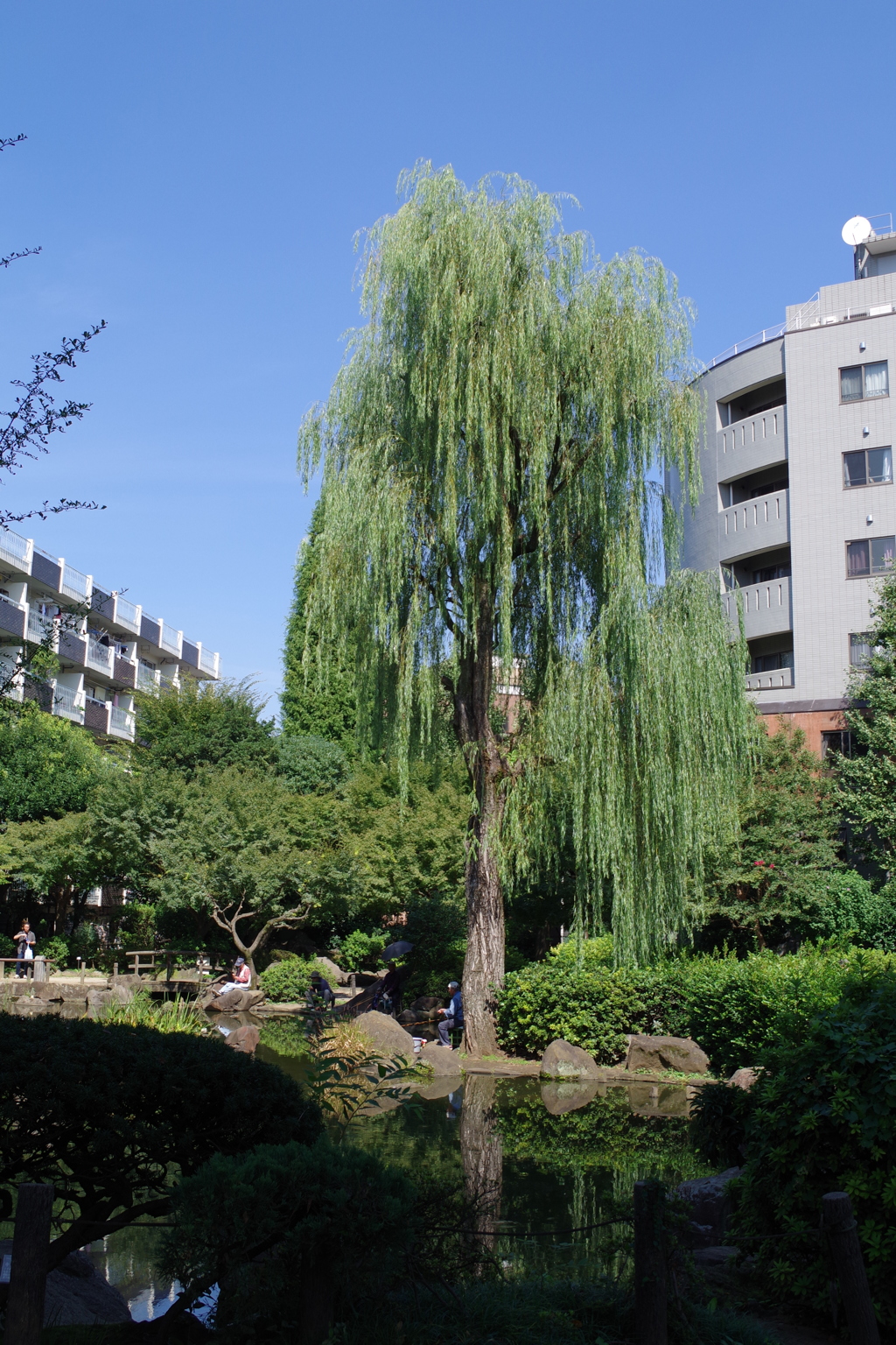 釣り人_新井天神北野神社