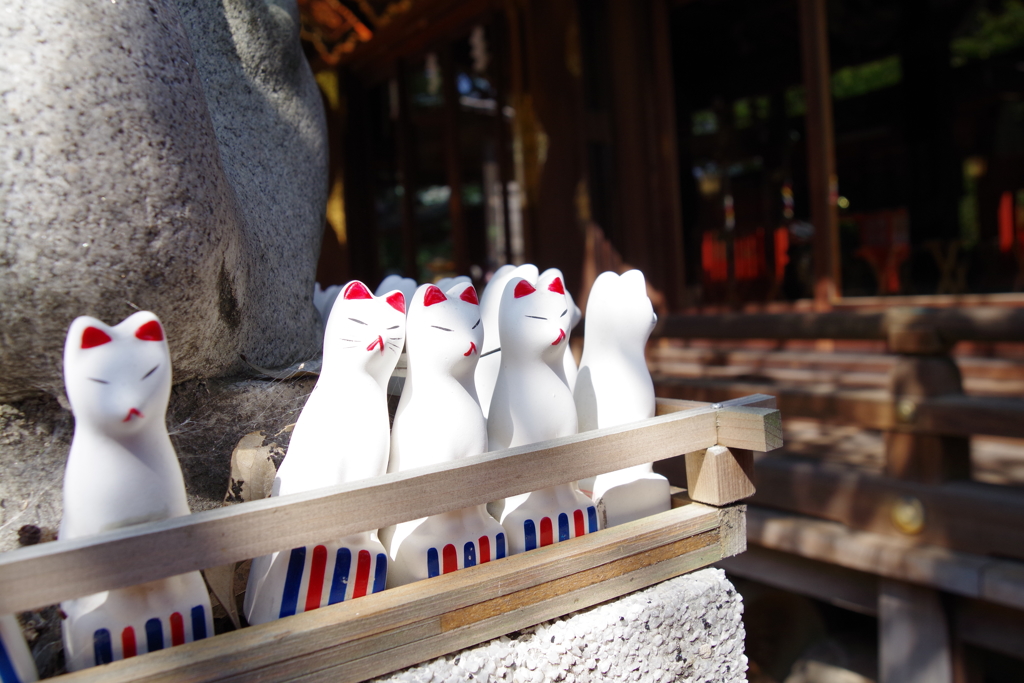 ちょっとだけ仲良し_稲荷様の狐_馬橋稲荷神社