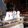 ちょっとだけ仲良し_稲荷様の狐_馬橋稲荷神社