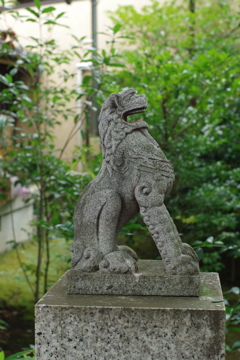 狛犬_須賀神社(四谷) 