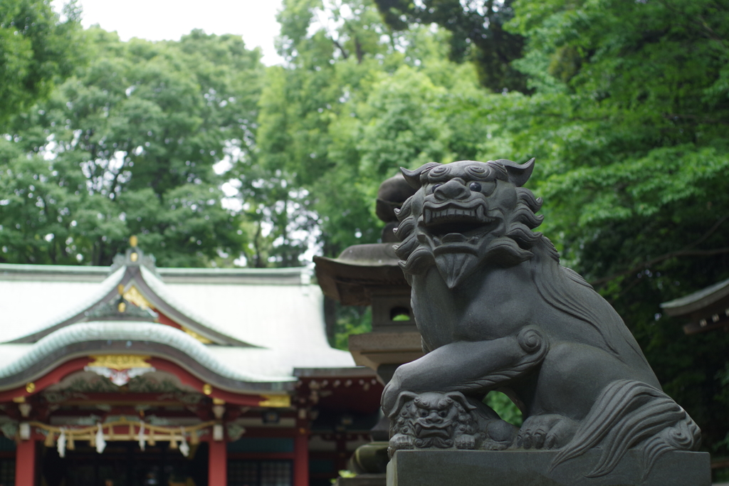 狛犬_氷川神社(中野)