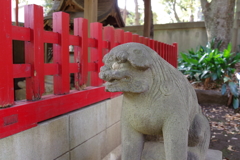 狛犬_赤坂氷川神社