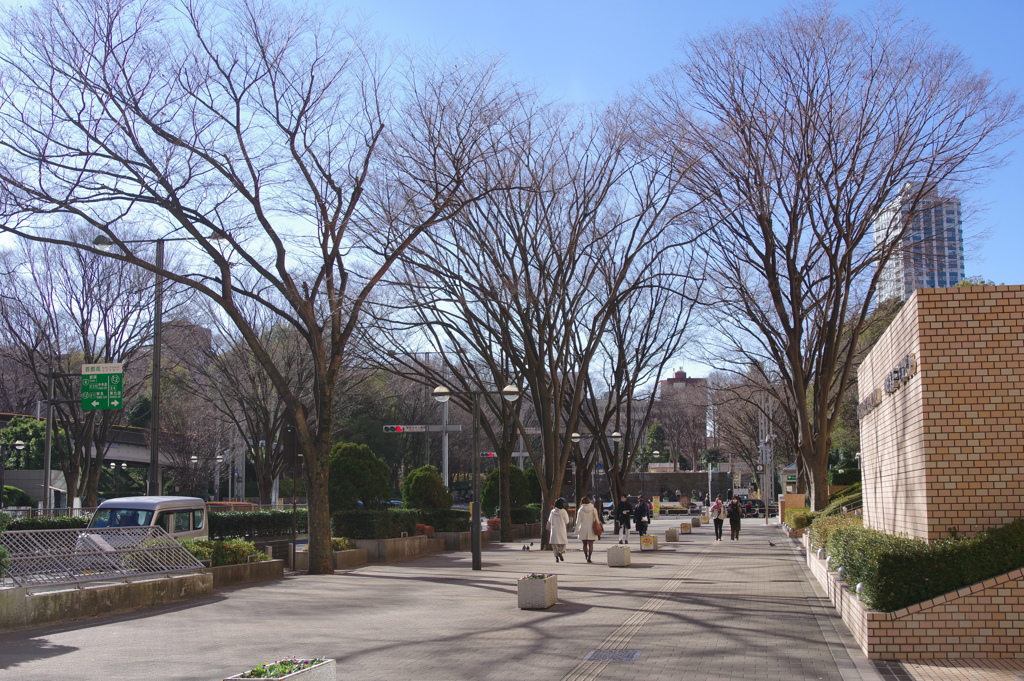 西新宿の冬景色