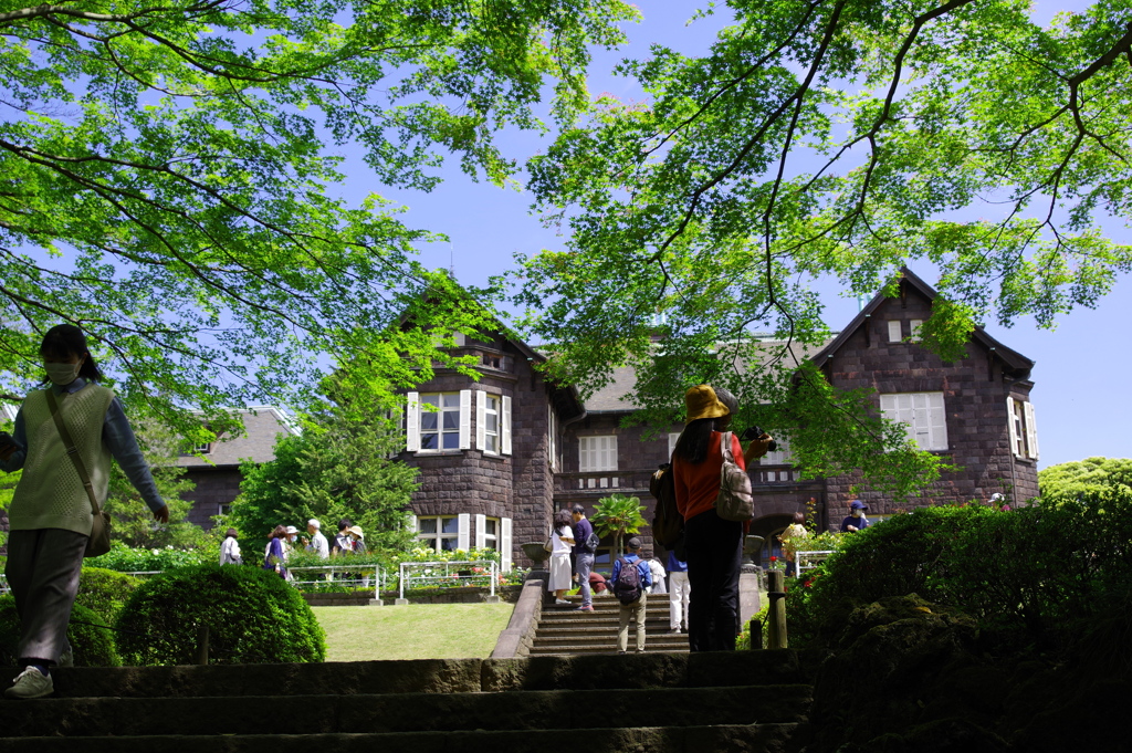 旧古河庭園