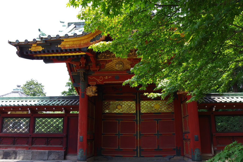 徳川綱吉霊廟勅額門_寛永寺