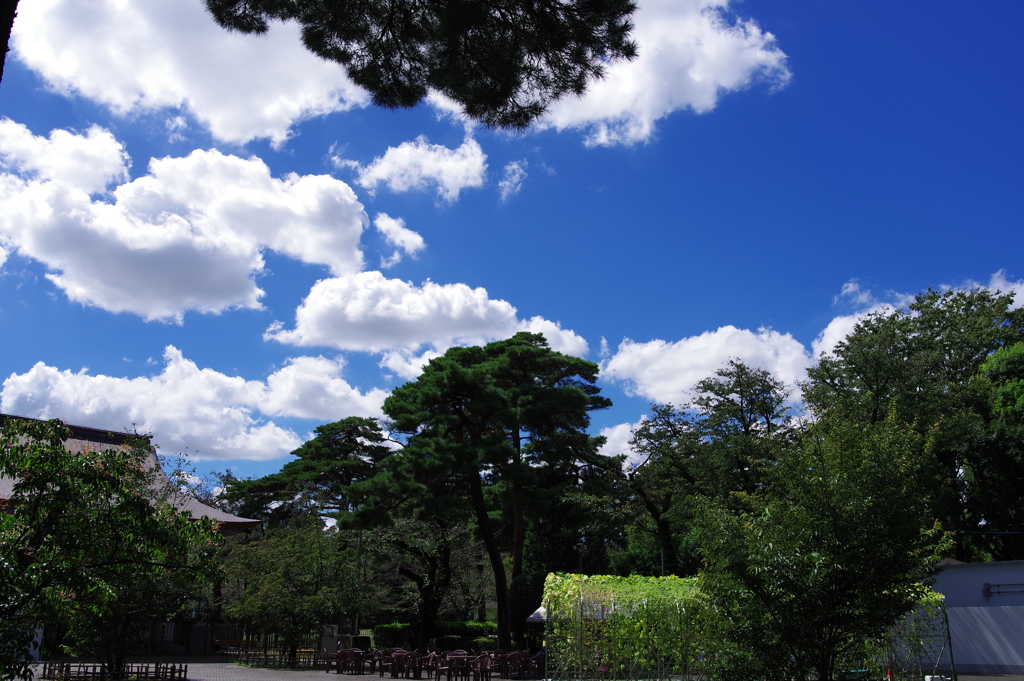 秋の空