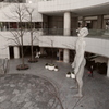 「Singing Man」