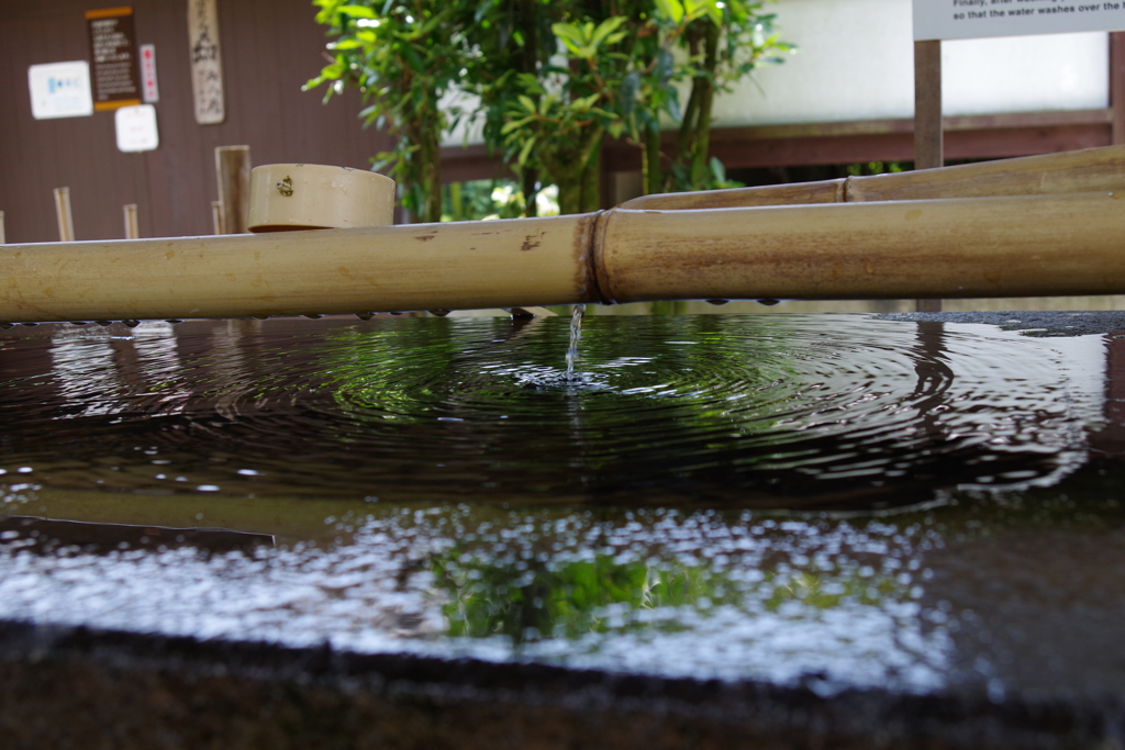 手水舎_上野東照宮