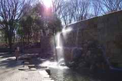 ナイアガラの滝_新宿中央公園