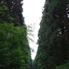 林道_小岩井農場