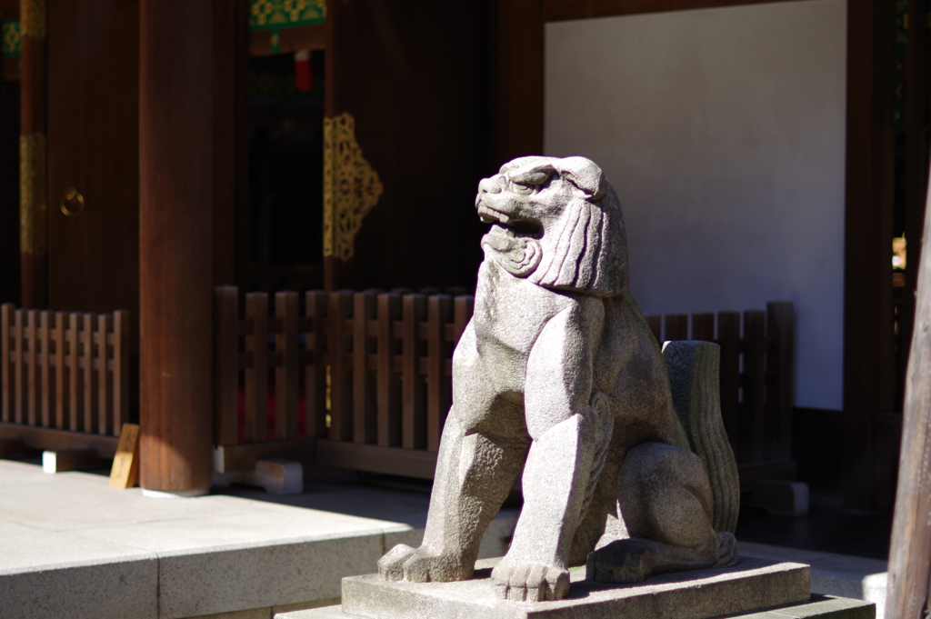 狛犬_乃木神社