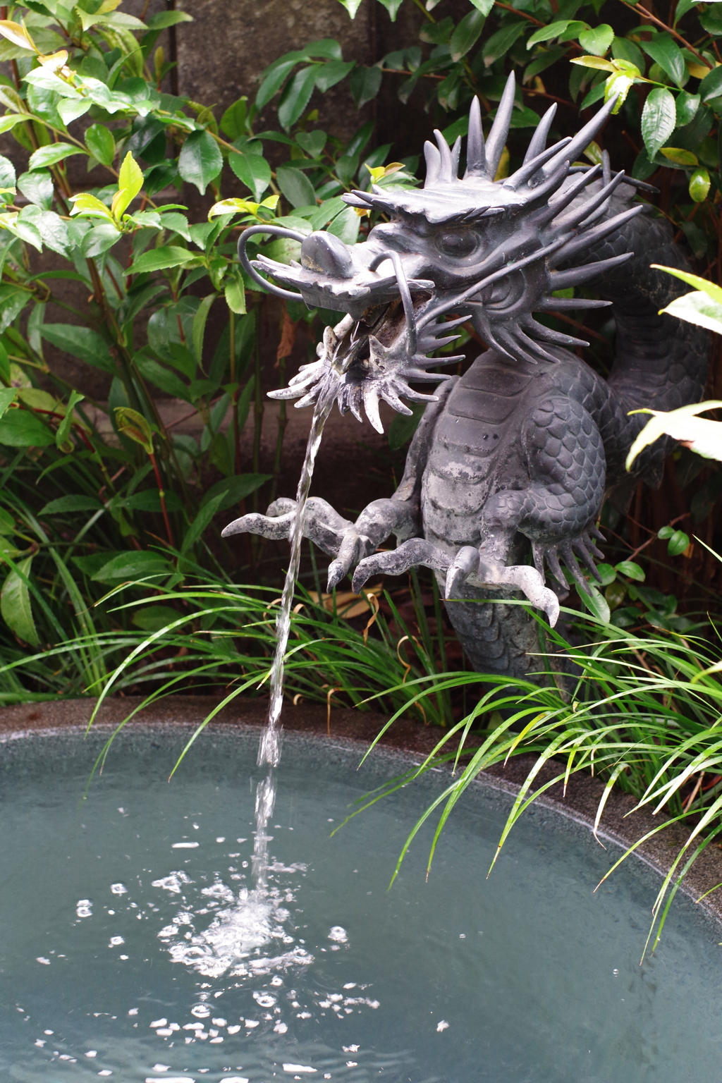 手水舎_龍_深川不動尊