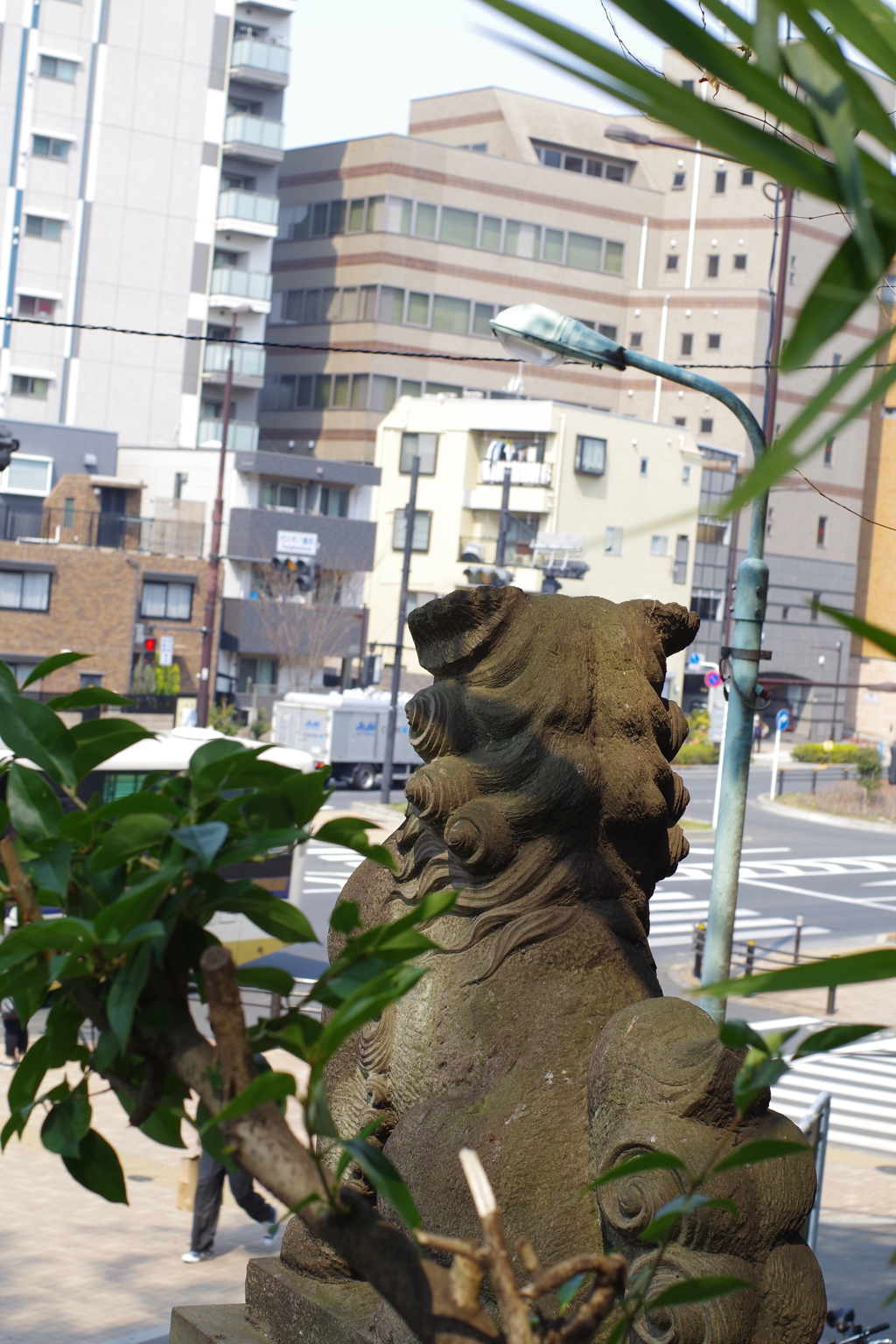 狛犬_代々木八幡宮