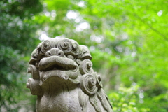 狛犬_赤坂氷川神社