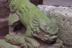 狛犬_渋谷氷川神社