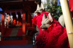 稲荷様の狐_新宿十二社熊野神社