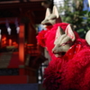 稲荷様の狐_新宿十二社熊野神社