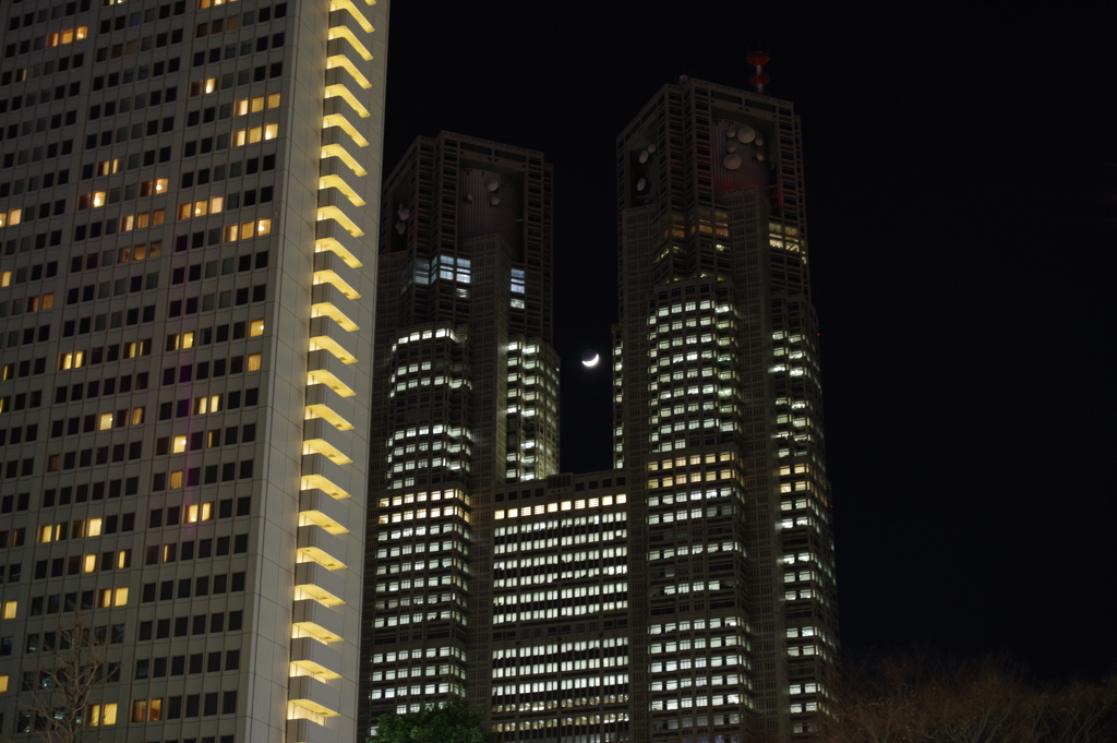月と都庁