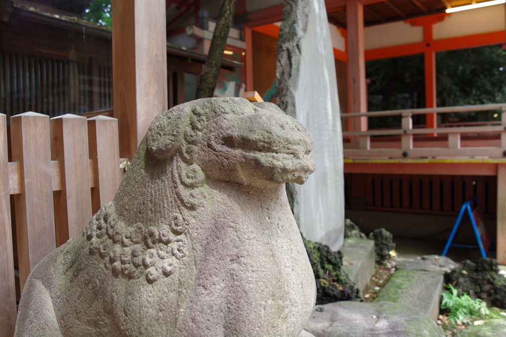 狛犬_川越氷川神社