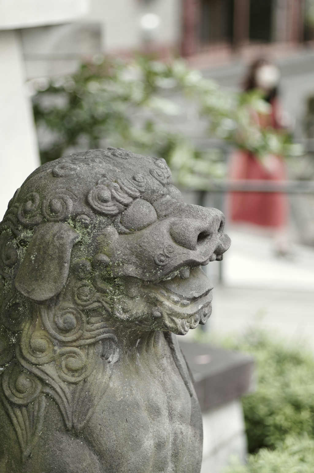 狛犬_富岡八幡宮