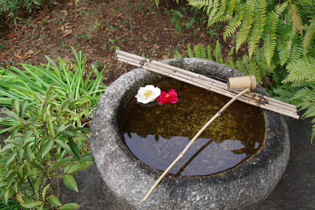 つくばい_林芙美子記念館