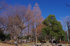 元日の公園_蚕糸の森公園