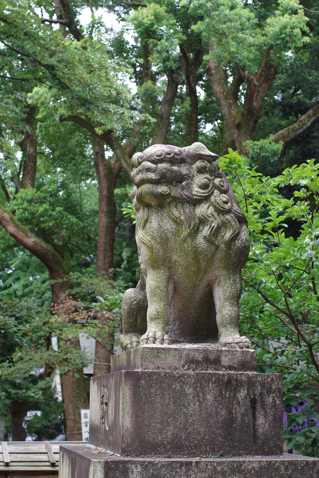 狛犬_大宮八幡宮(杉並)