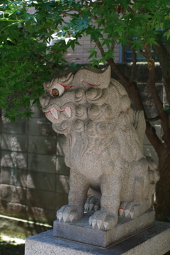 狛犬_天祖神社(早稲田)