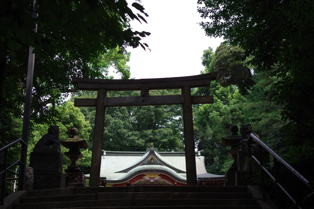 中野氷川神社