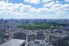 明治神宮、代々木公園_都庁展望台