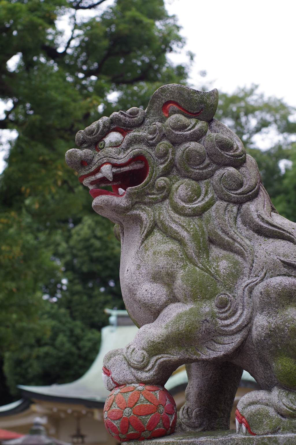 狛犬_荻窪白山神社