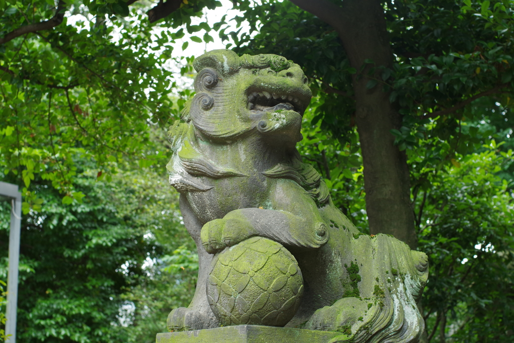狛犬_氷川神社(中野)