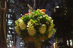 夜の花吊り鉢_新宿中央公園