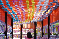 てるてる坊主_田無神社