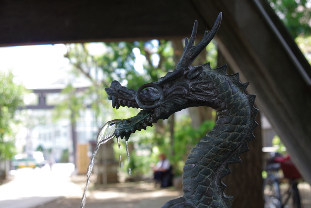 手水舎_龍_新井天神北野神社